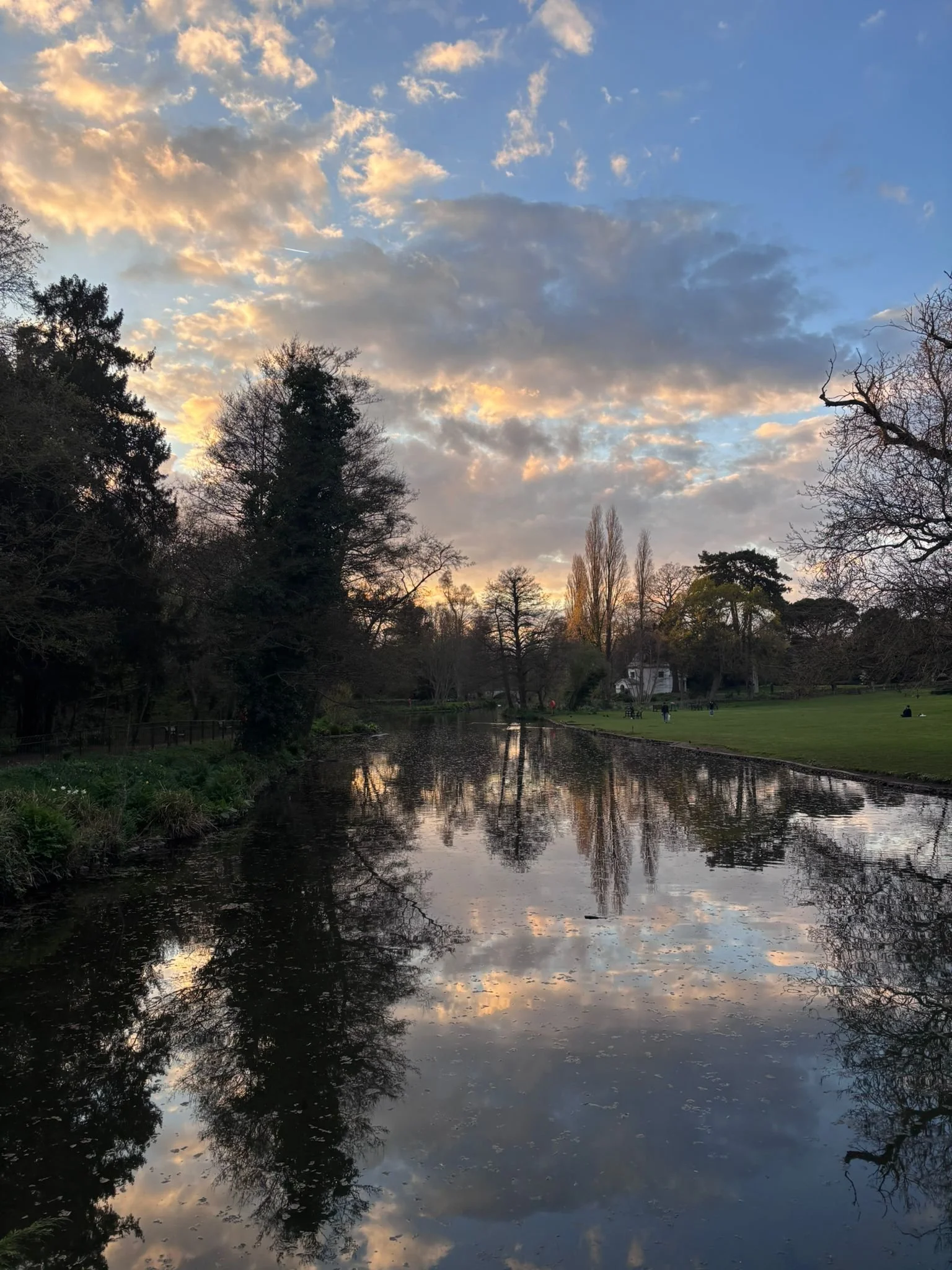       
  
    -  


  
 #block-461f347586b53bc175df {
    
    
    
    
  }

  #block-461f347586b53bc175df .sqs-html-content {
    
    }
    
  #block-461f347586b53bc175df {
    mix-blend-mode: var(--tweak-text-block-blend
  );
  }
  
  
  
  
  
