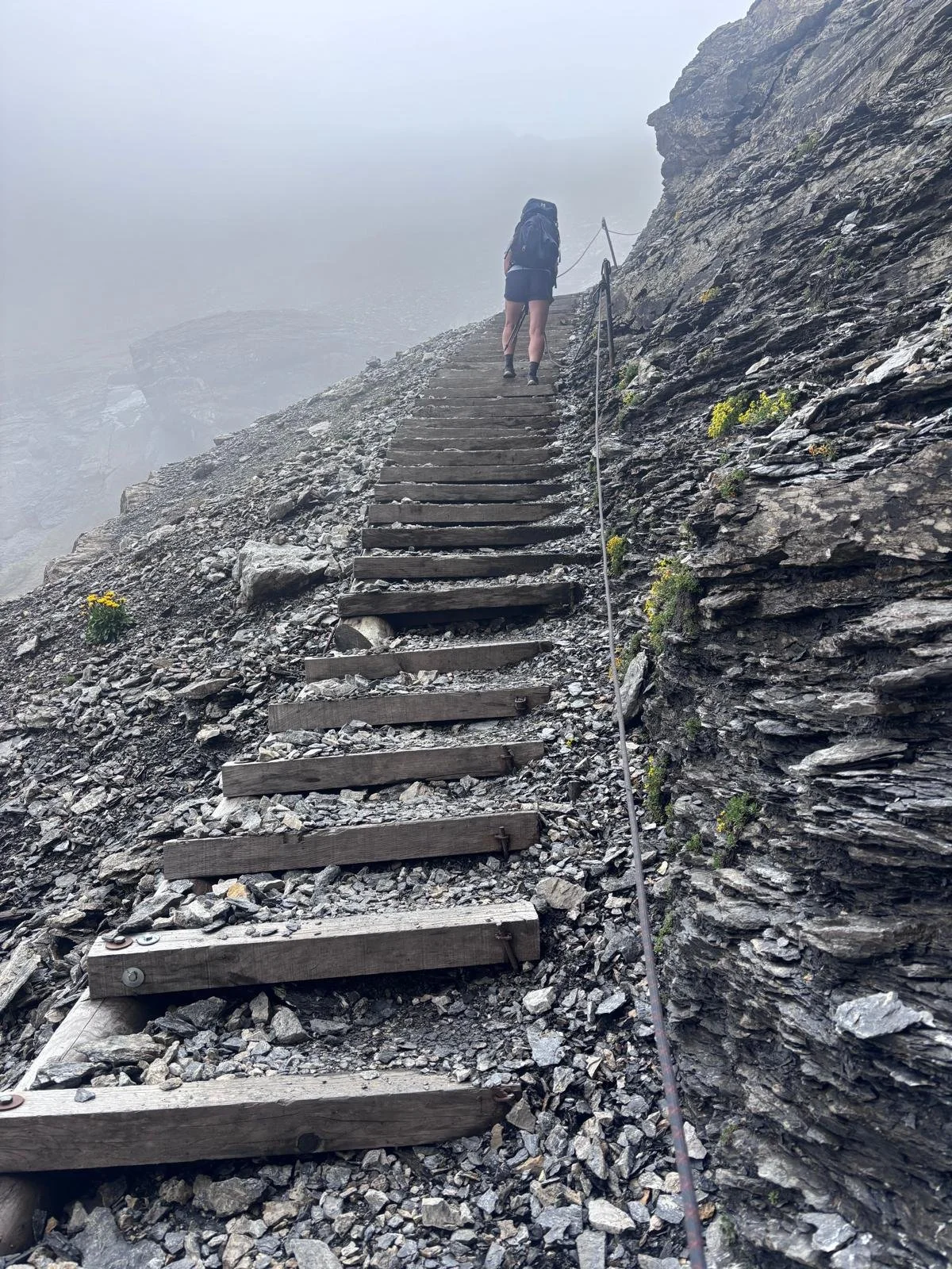 stairs.jpg
