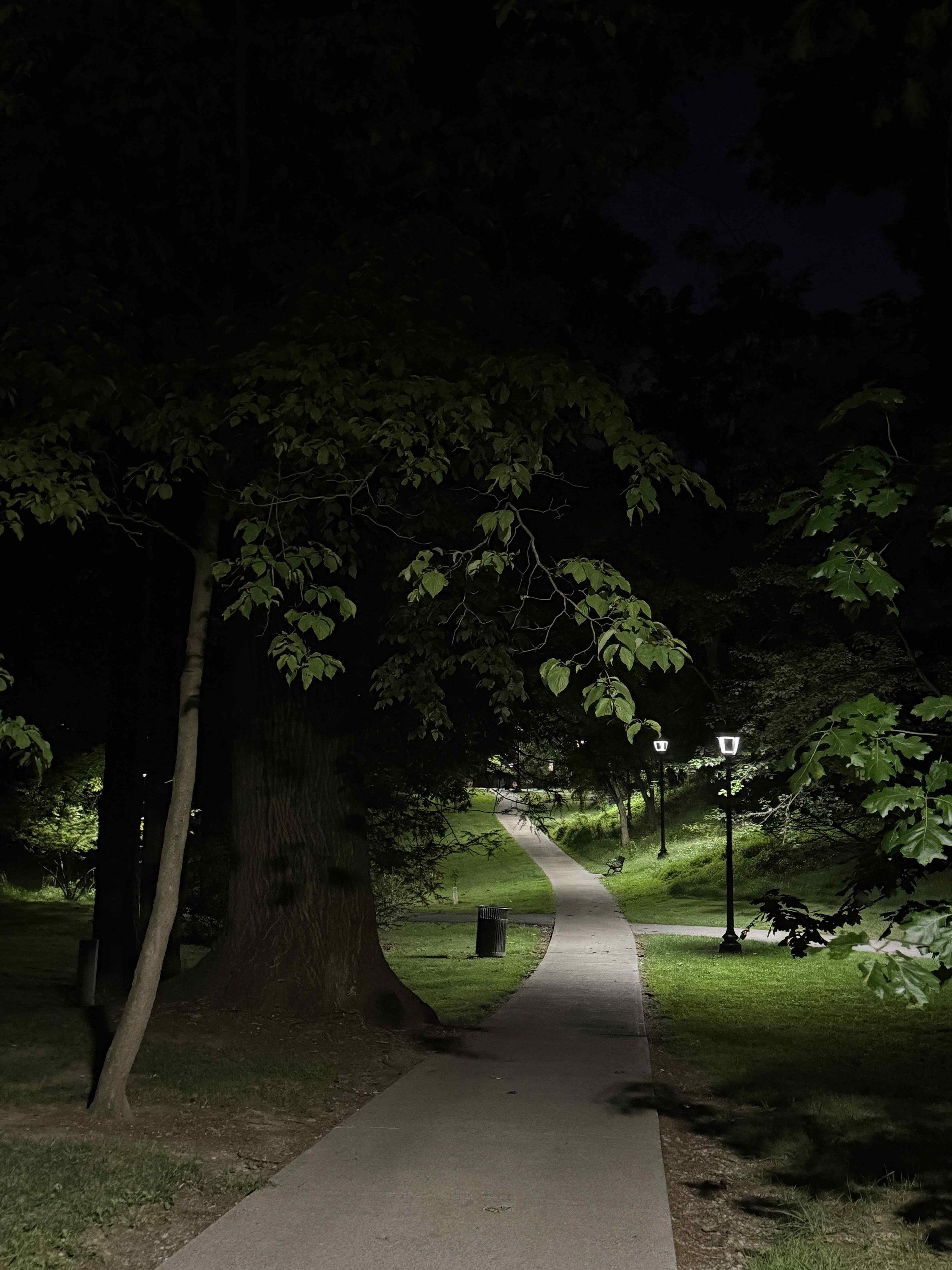 path.jpeg