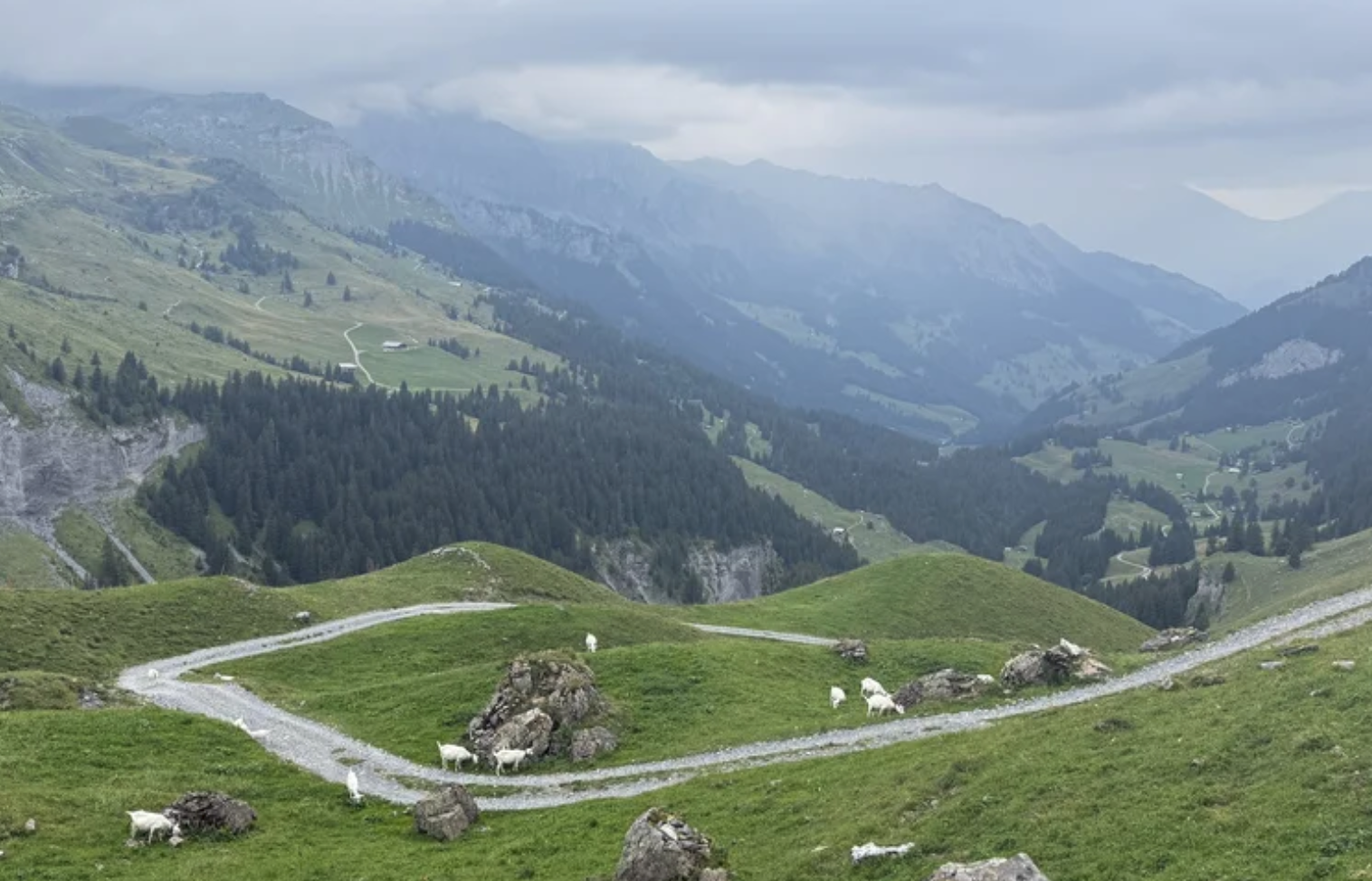 Swiss Alps, on the trail