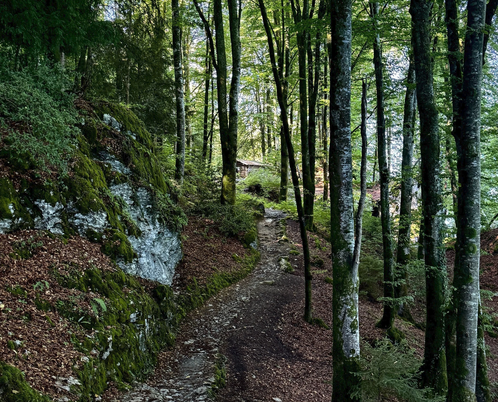 Swiss Alps, Warm up Hike