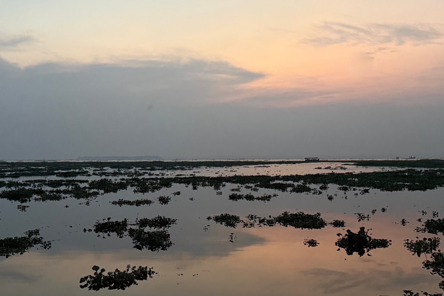 Soft pastel sunset over the Kerala backwaters with calm water and floating vegetation.