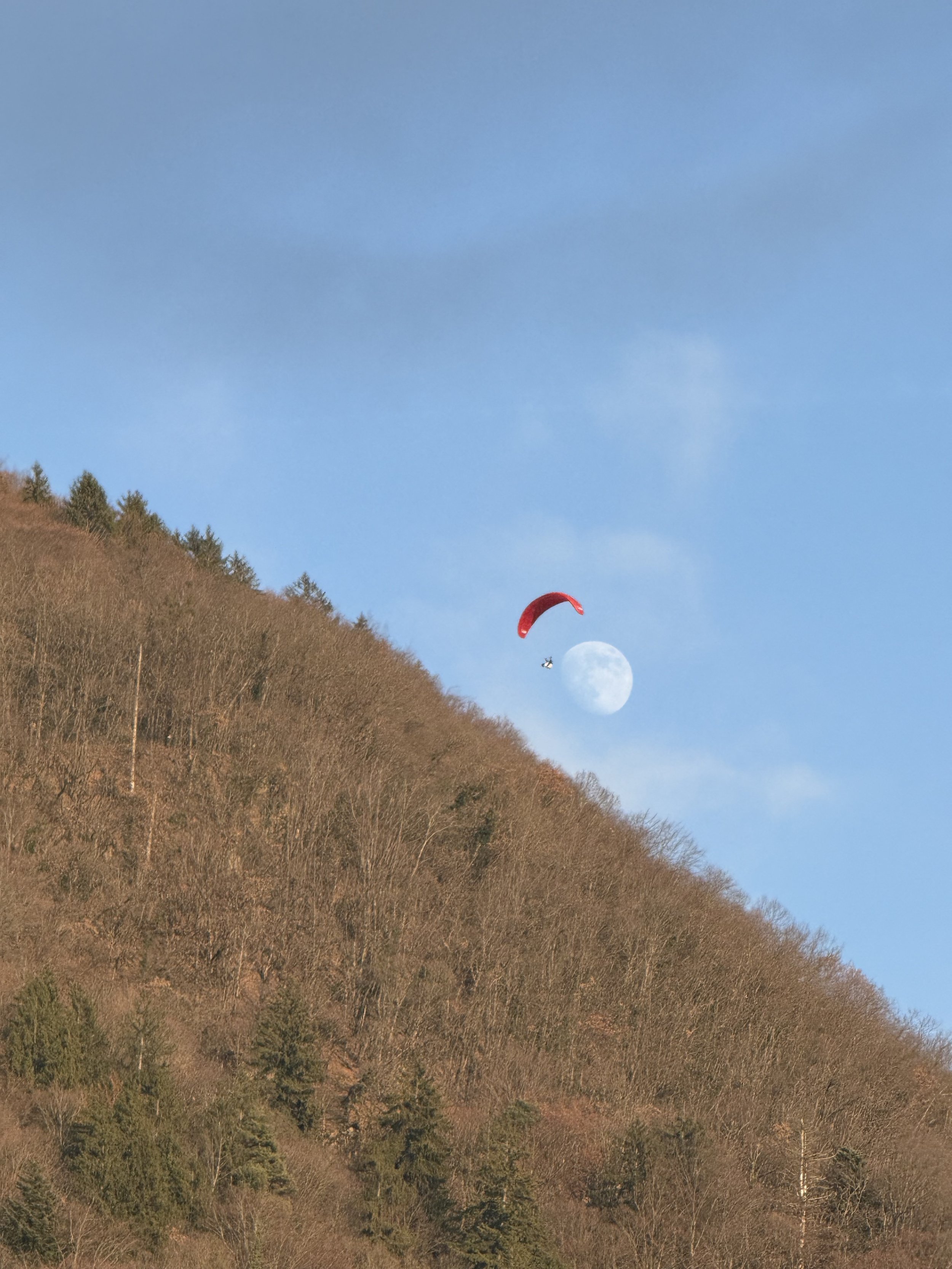Paraglider with a red canopy flying above a forested hillside, the moon visible in a clear blue sky.