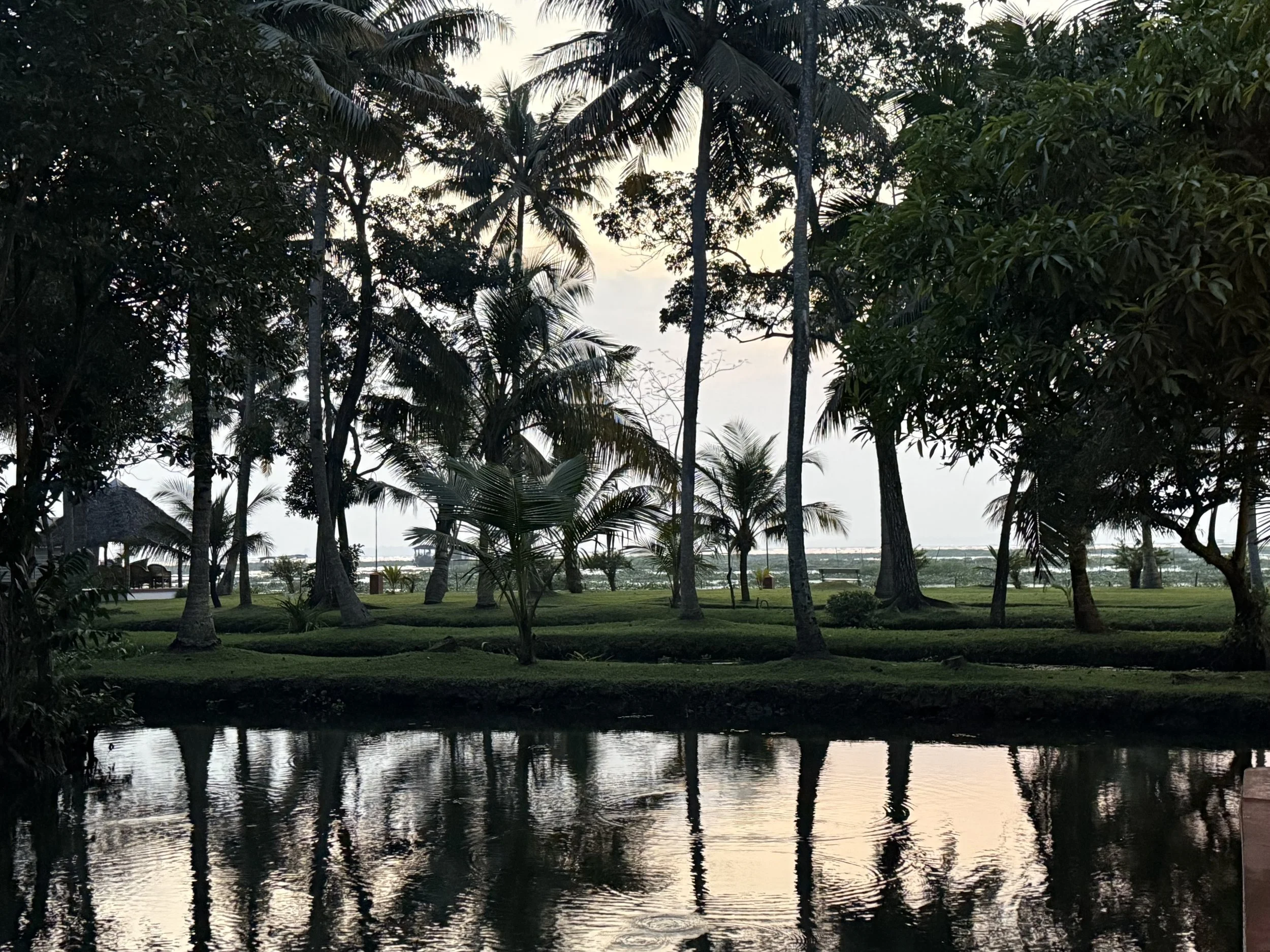 Palm trees reflected in still water at dusk on the Kerala backwaters.