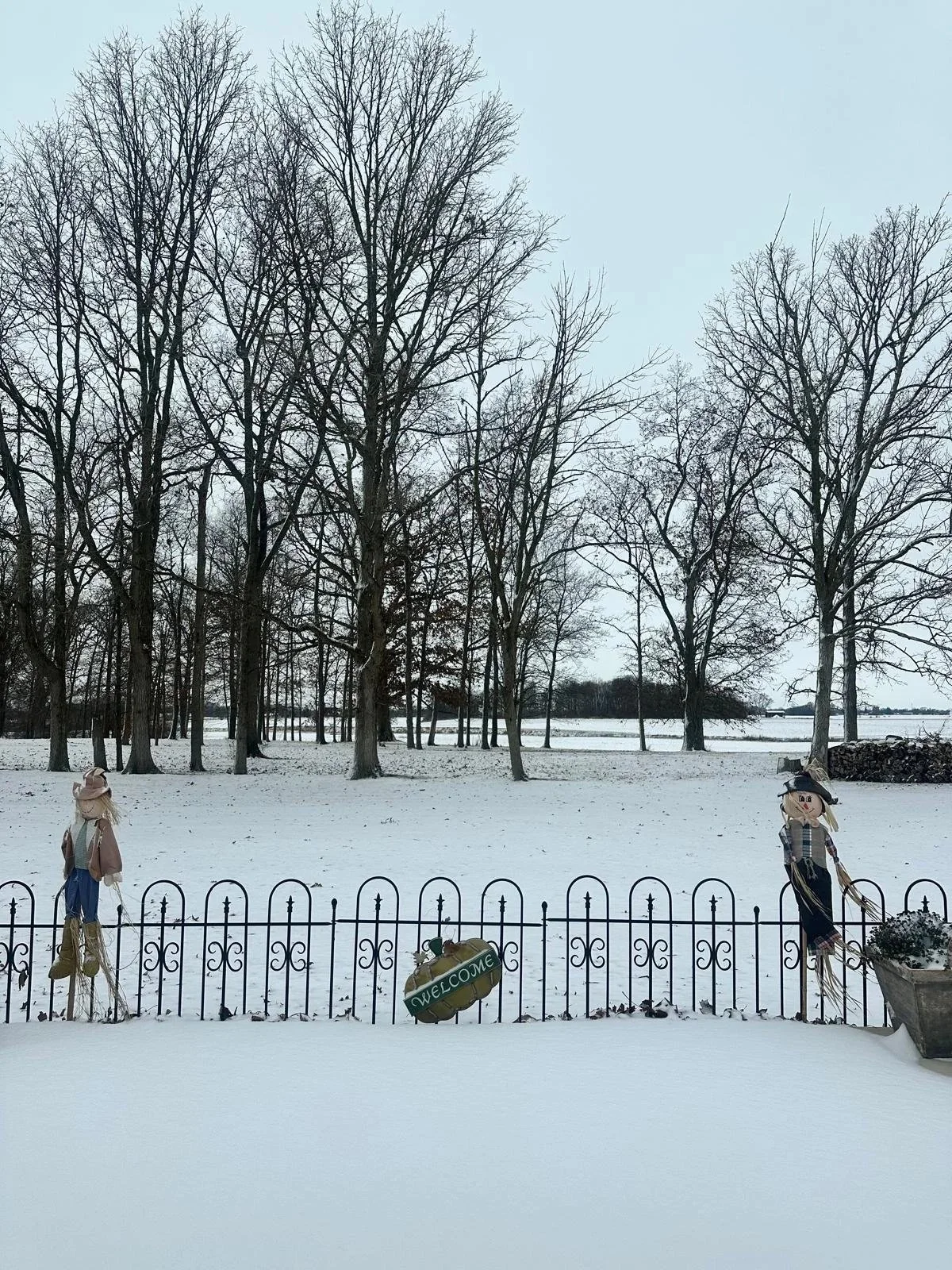 Snow-covered field with bare trees and a fence decorated with scarecrows in rural Indiana.