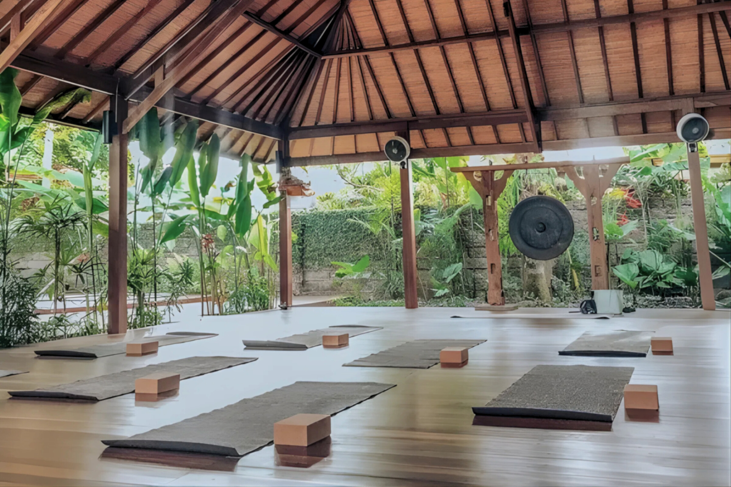 Yoga mats in a serene studio, representing down-to-earth yoga practices for midlife women and creatives.