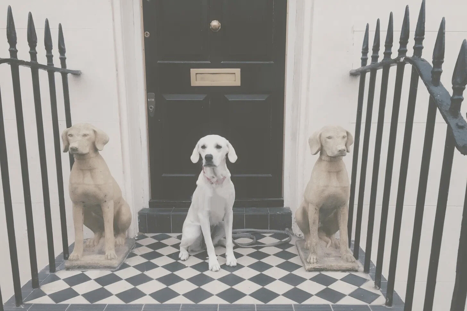 White dog sitting on a black-and-white tiled doorstep between two stone dog statues in front of a dark door with railings.
