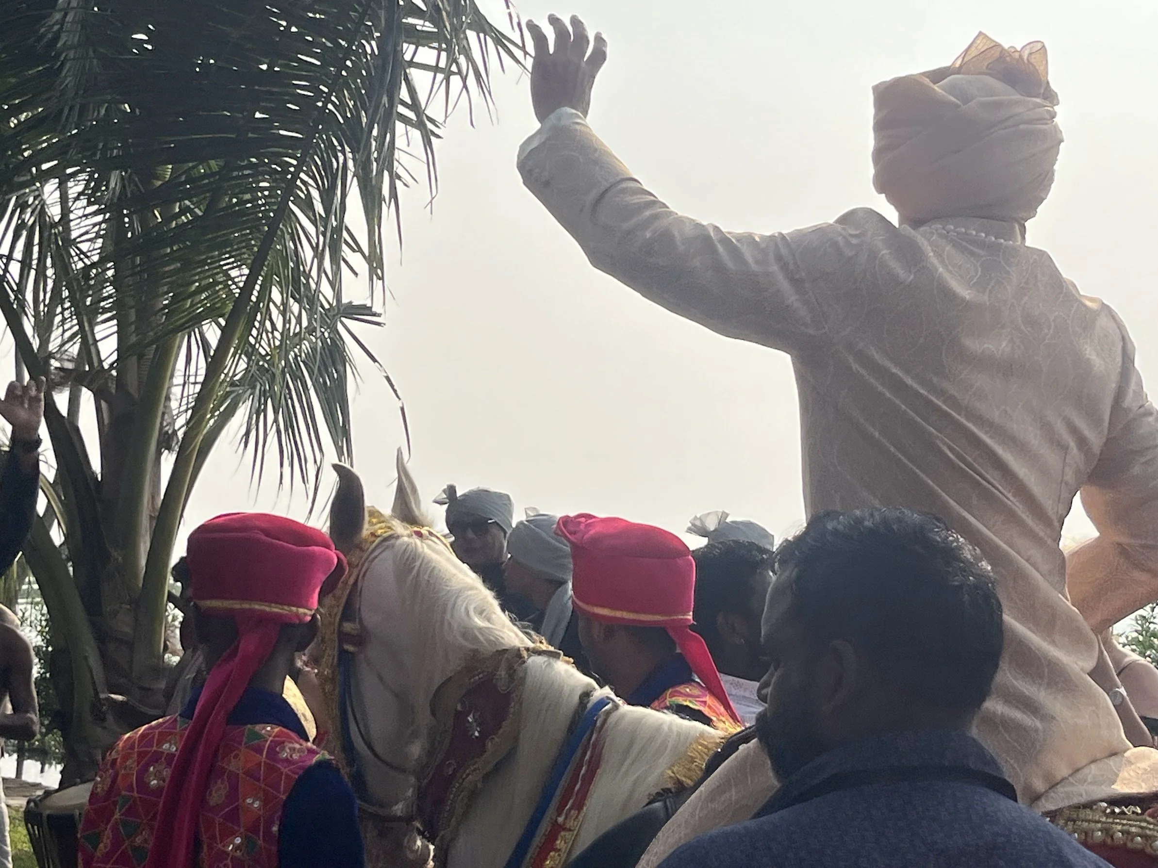 Groom riding a white horse during a traditional Indian wedding procession, surrounded by guests in ceremonial dress.