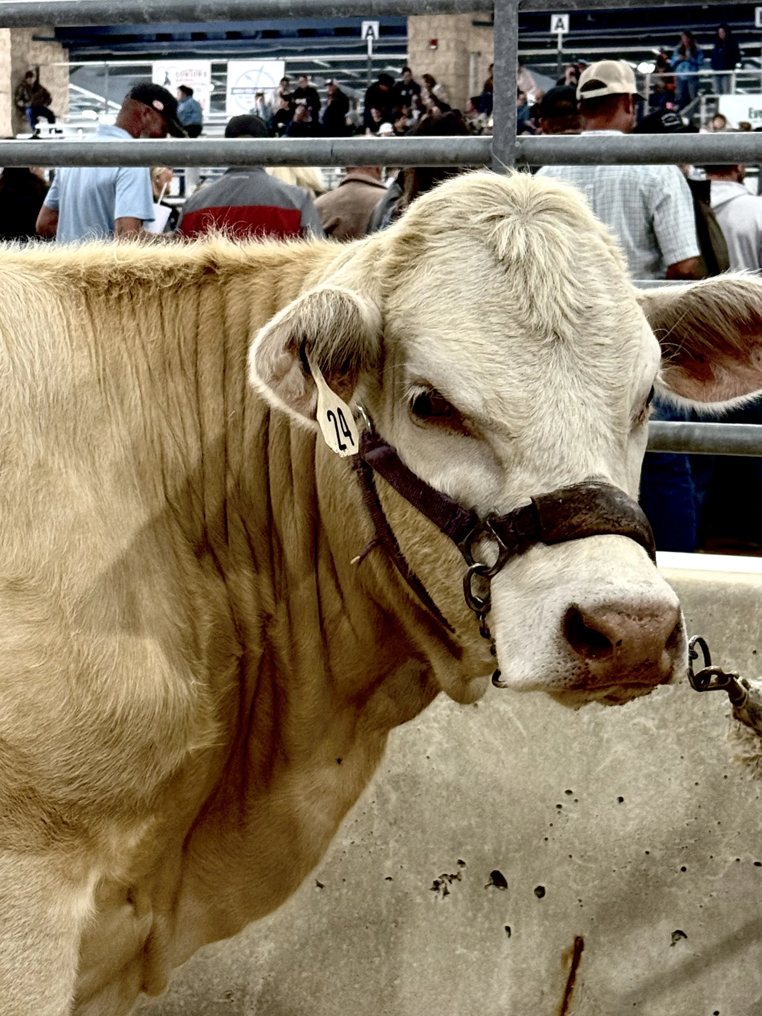 A Grandpa Tour of Florida