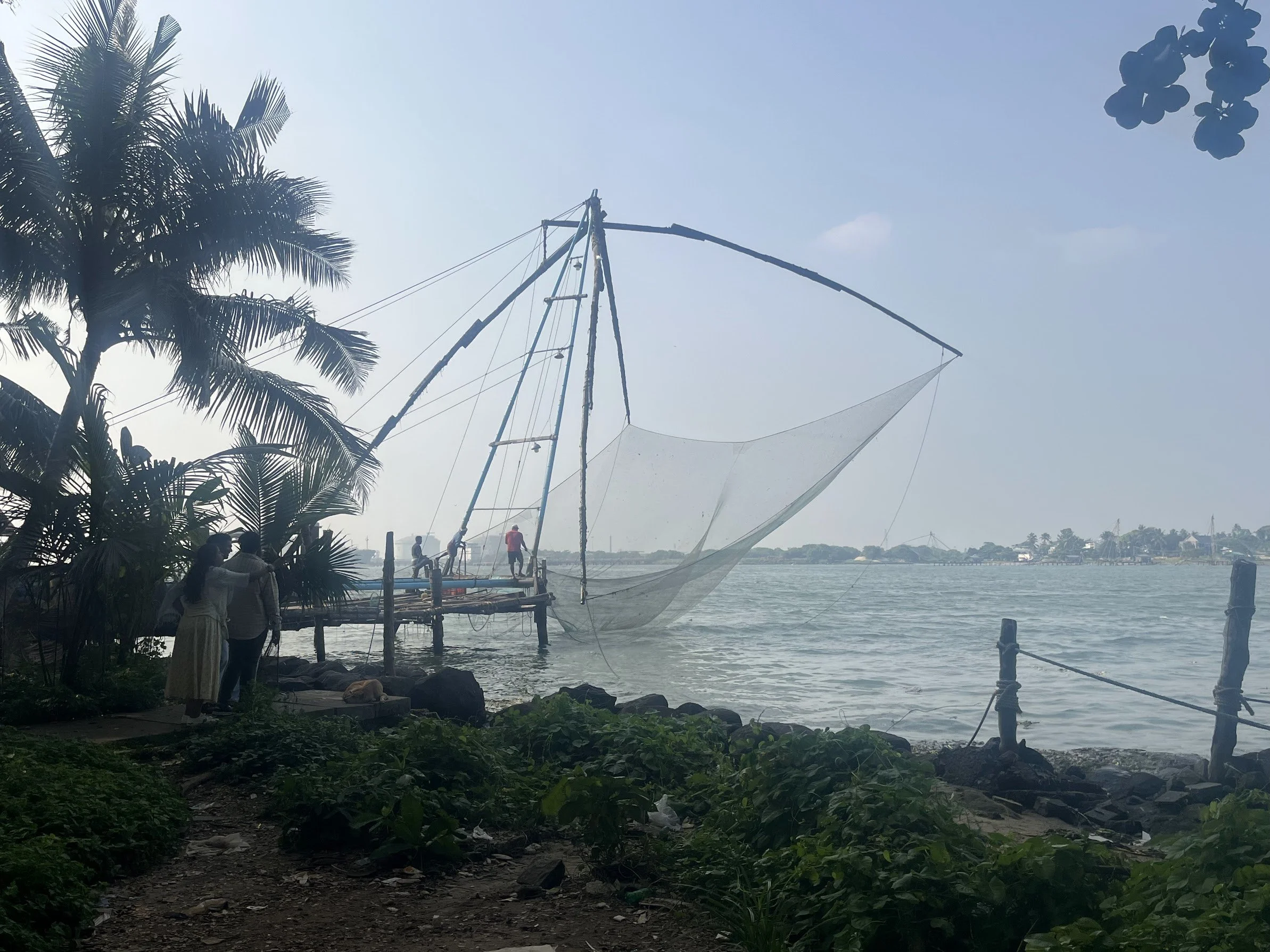 Traditional Chinese fishing nets on a calm waterfront with palm trees.