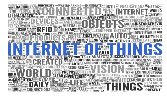 What is the "Internet of Things?"