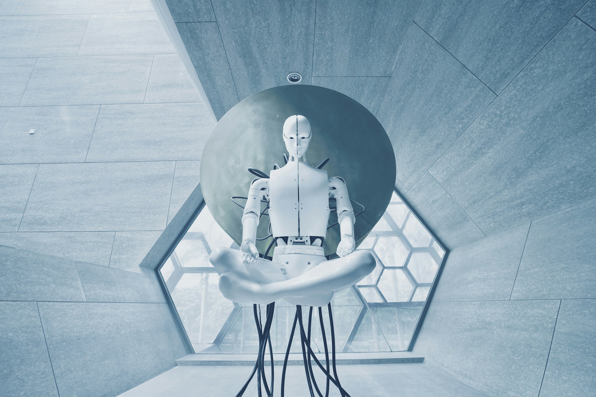 The 1st Robot Citizen: Citizenship for Ideas