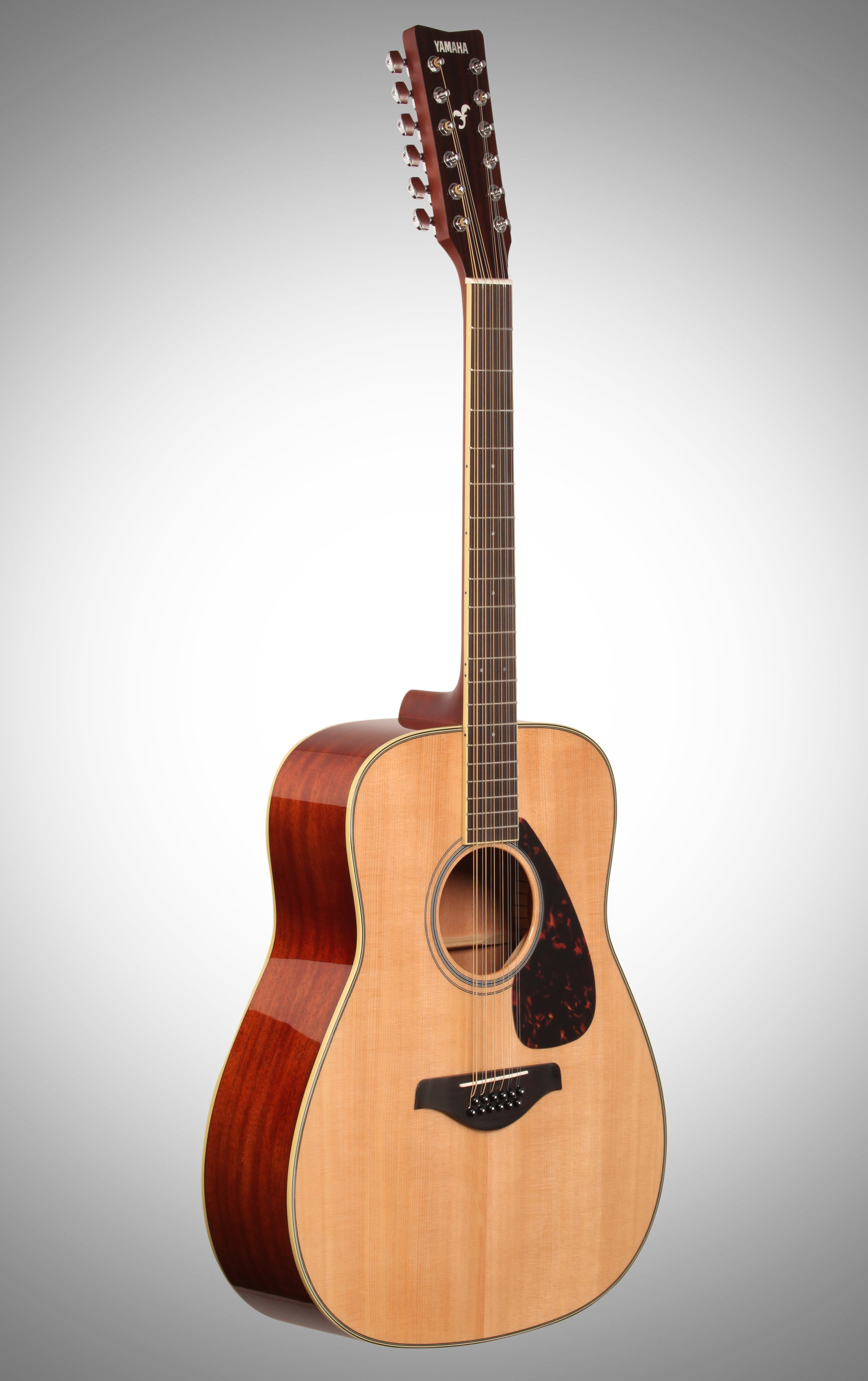 fg820 12 string .jpg
