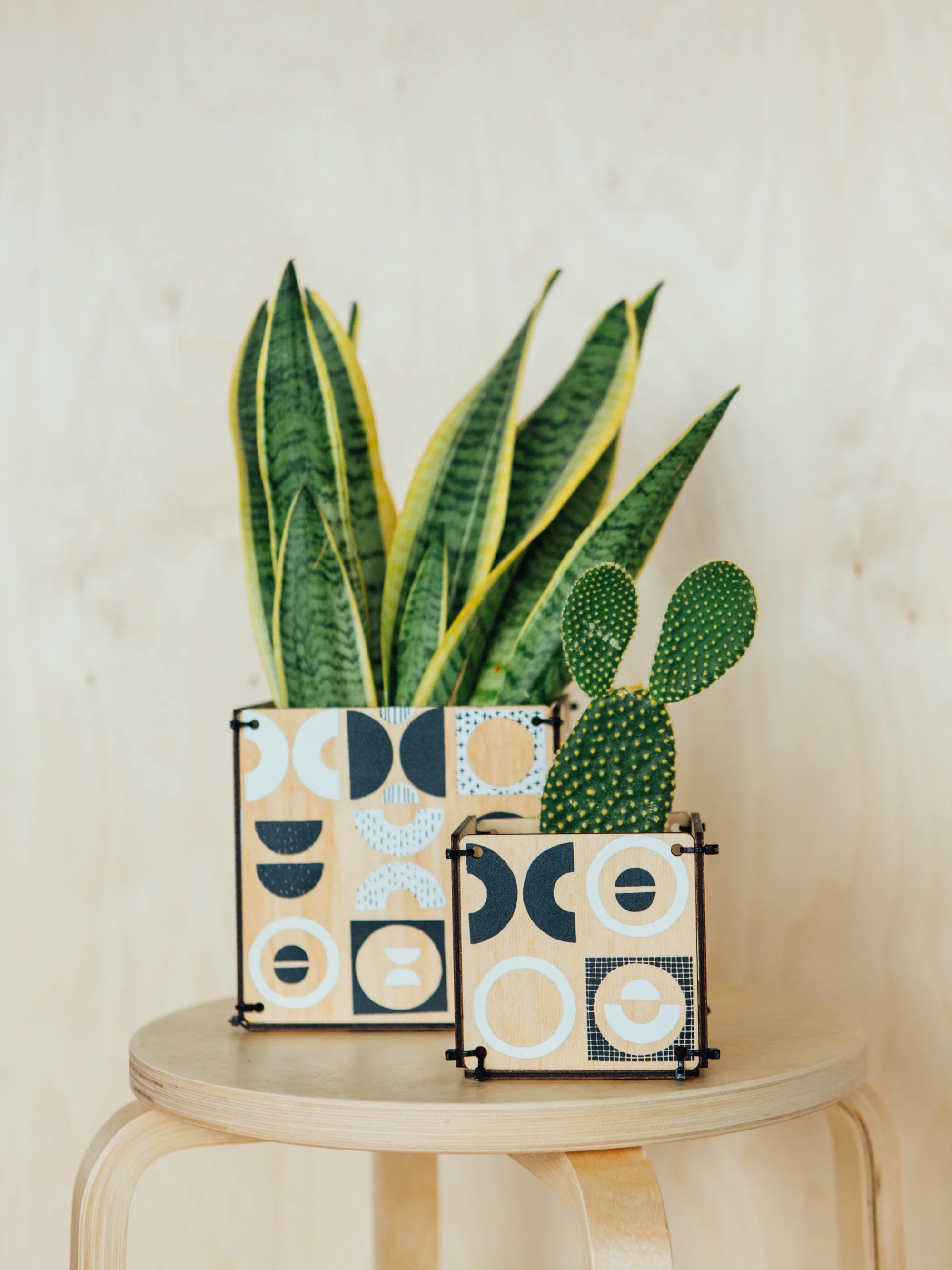 D1841-42 plant pots.jpg