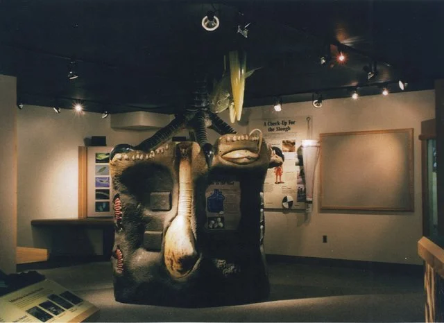 img048.jpg