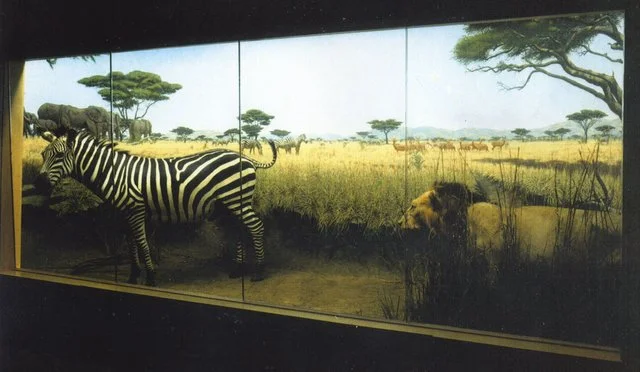 img079.jpg