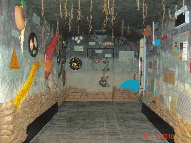 p_0002.jpg