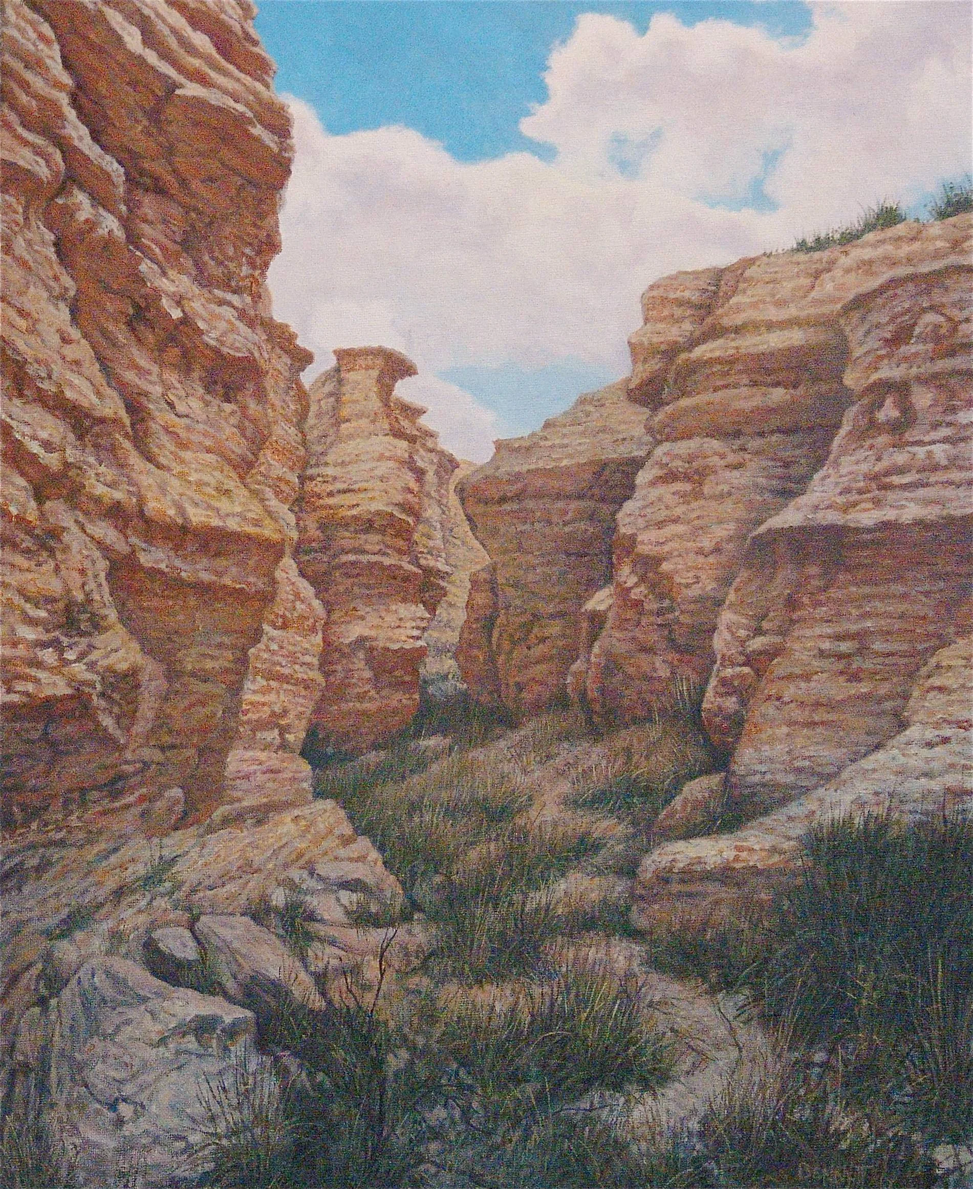 InvNo502TheCanyonPath,o:c,20x16,2010,Fr.jpg