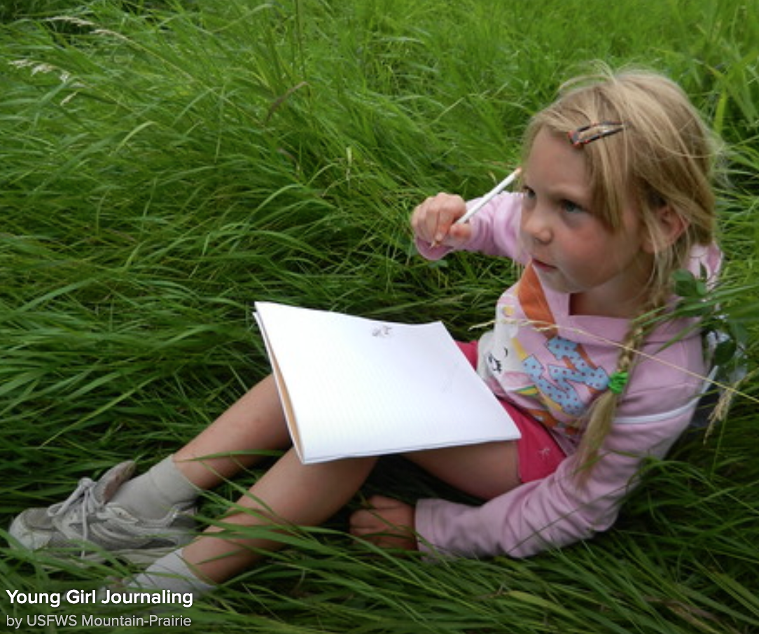 Nature Journaling