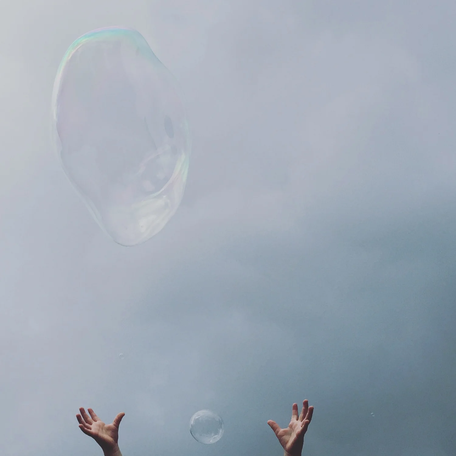 bubble_2428.jpg