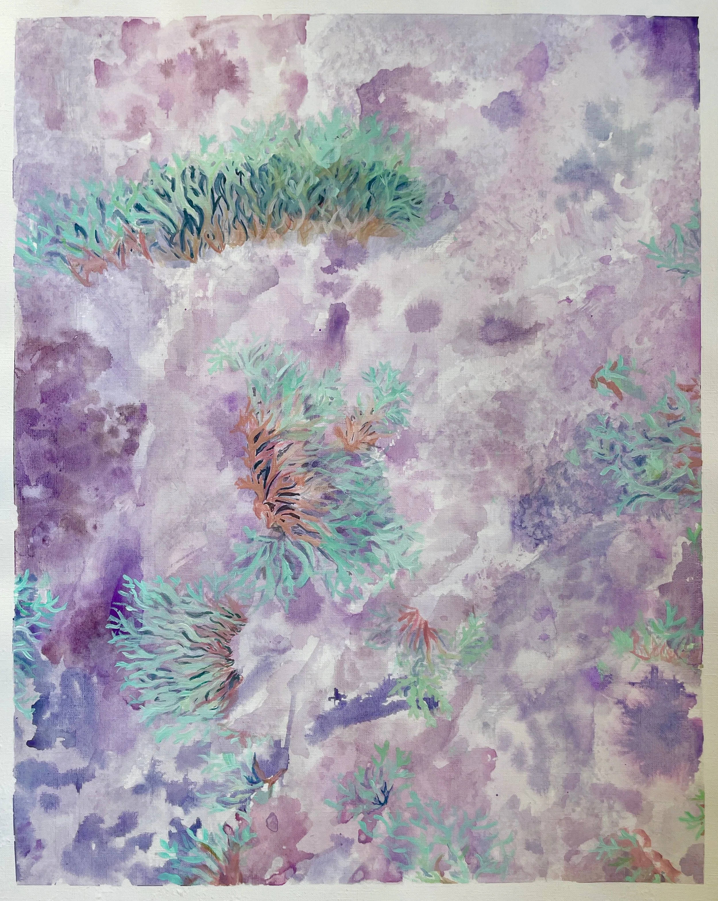 Lichen in Purples.jpeg