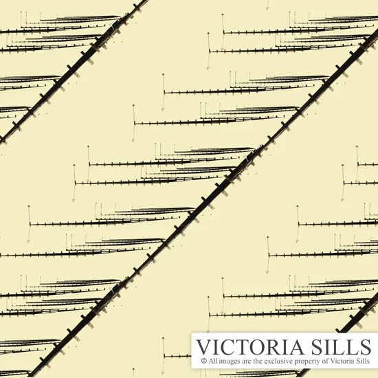 Groynes Diagonal Yellow
