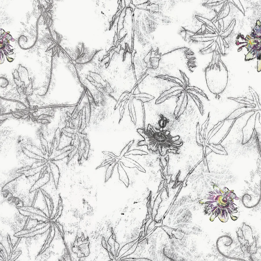 Passiflora Print
