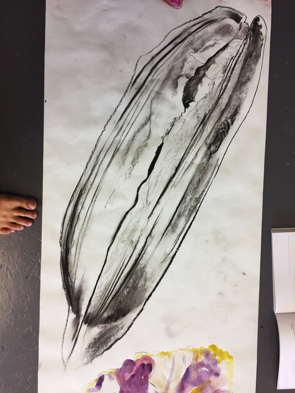 Hemerocallis fulva, charcoal on paper