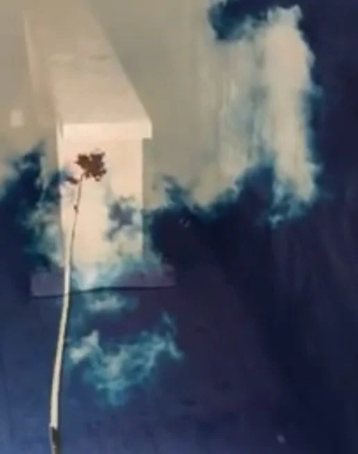 Pleased to share that I&rsquo;ll have one of my short films &ldquo;do more by doing less&rdquo; included in some visuals for an @evilisaband performance @studio.chapple in Deptford this Saturday 28th February - this is a free event and all are welcom