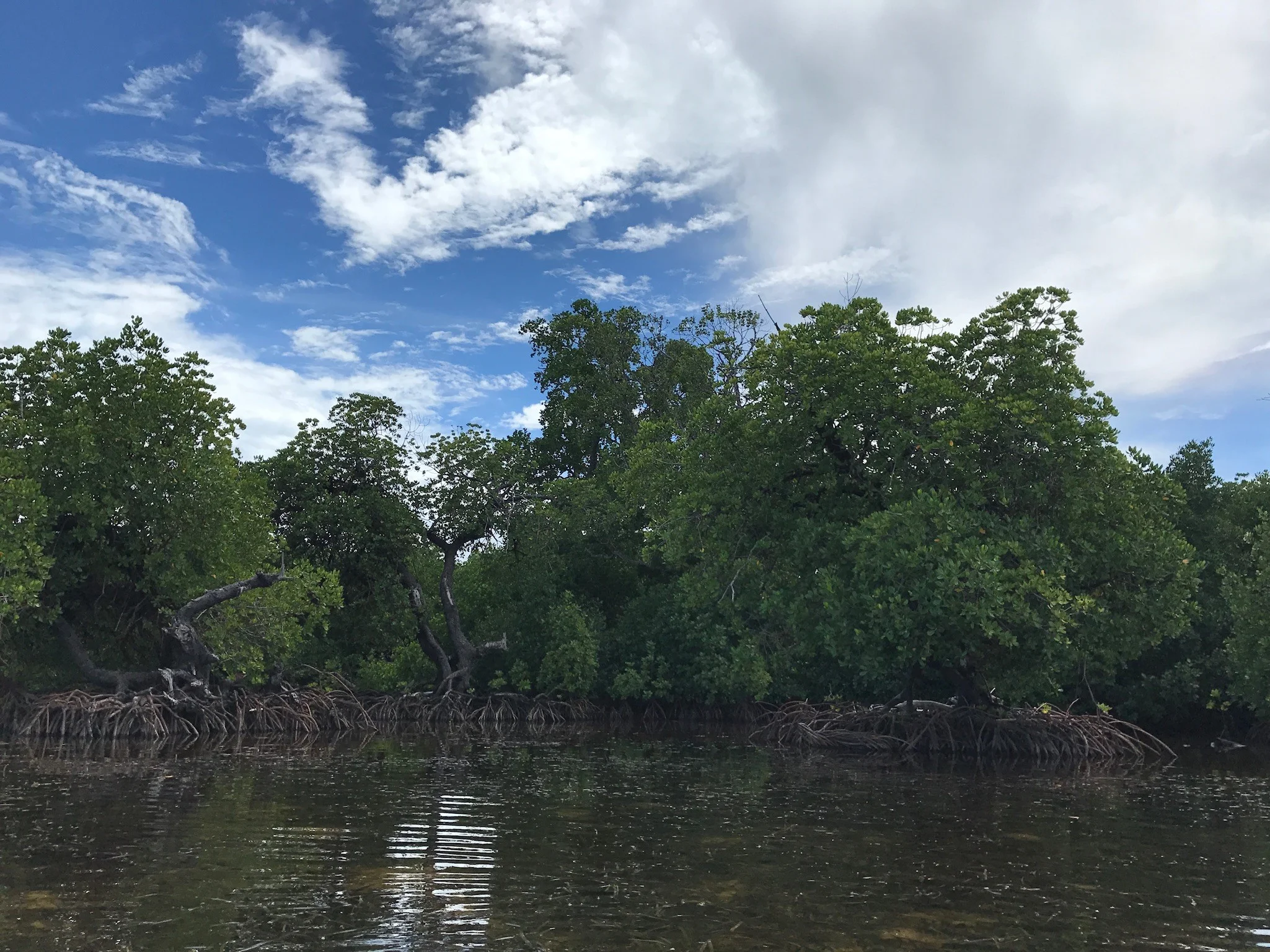 UNDP Internship in PNG