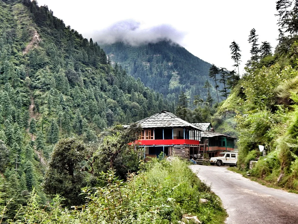 A Never-Ending Summer, Hopefully — Internship Experience at UNDP India