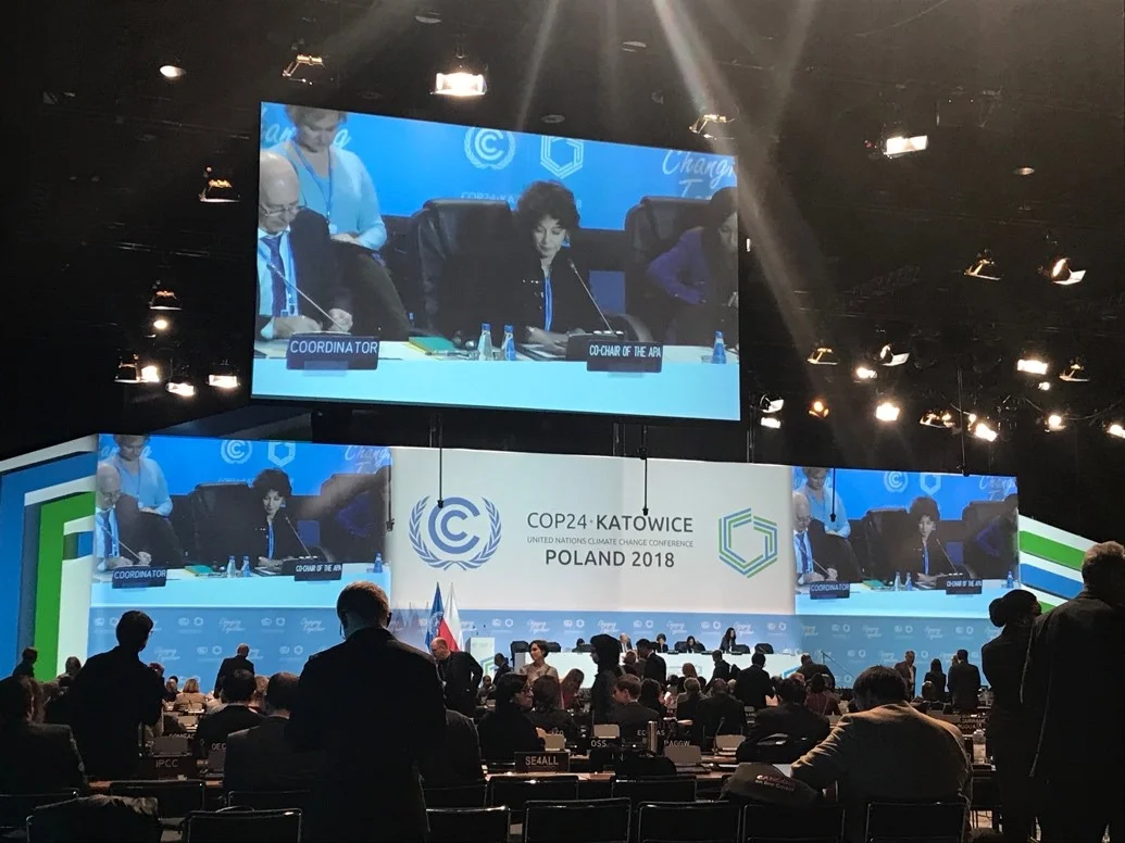APA co-chair Jo Tyndell presides over a check-in meeting on progress towards the Paris Rulebook.