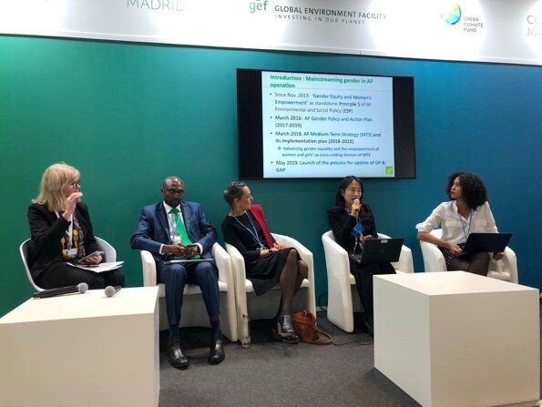 GEF and GCF Gender and Green Finance Panel, Day 1.