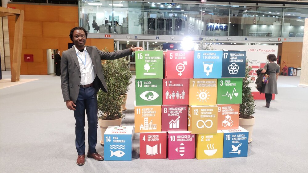 The UN Sustainability Development Goals