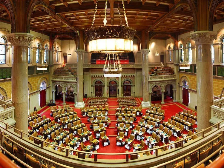 CIERP Alumni Perspectives: Running for Office on a Climate Ticket