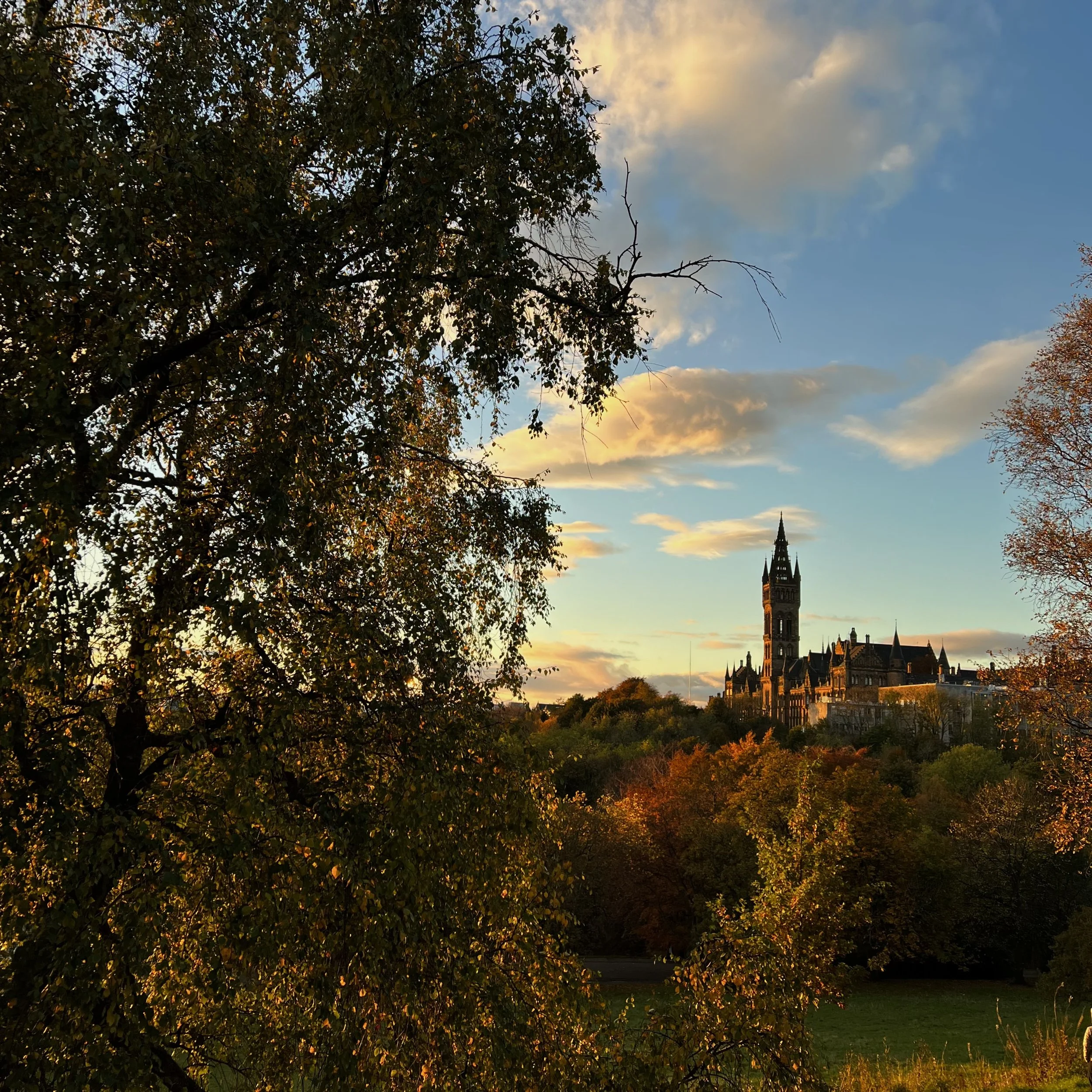 Attending COP26 during COVID-19