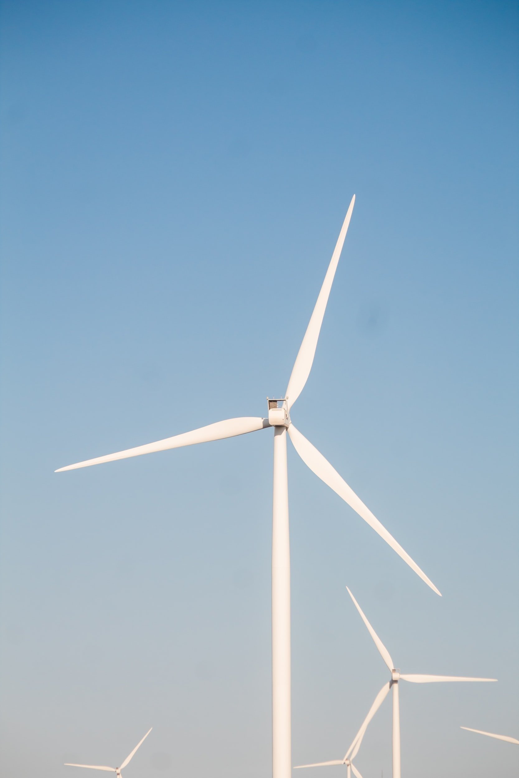 Africa’s Massive Renewable Energy and Green Minerals: A Recipe for Green Energy Revolution