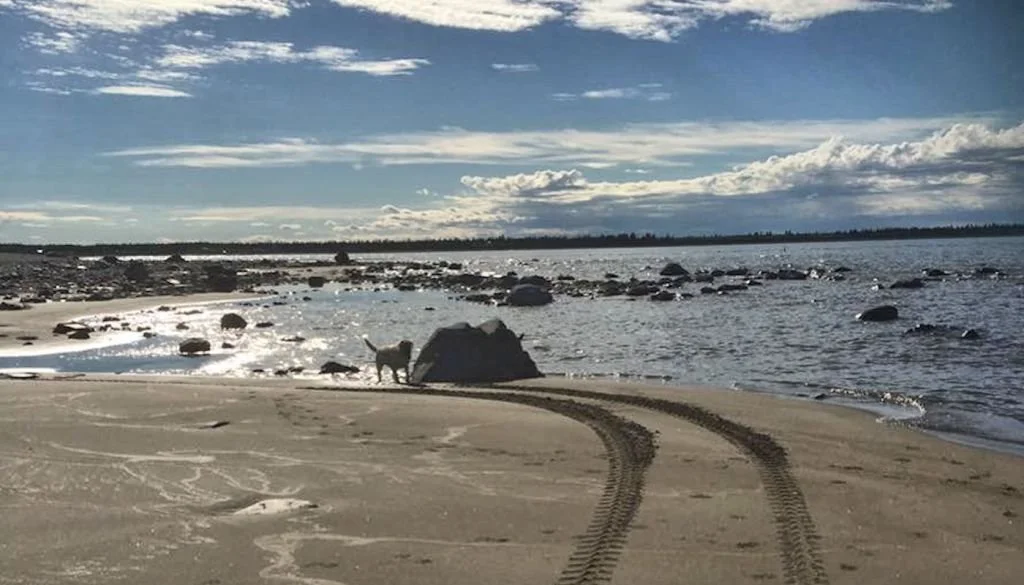 Indigenous Priorities and Renewable Energy
