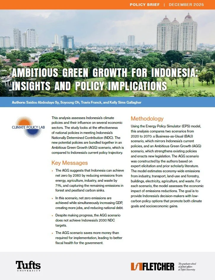 Ambitious Green Growth for Indonesia: Insights and Policy Implications (Policy Brief)