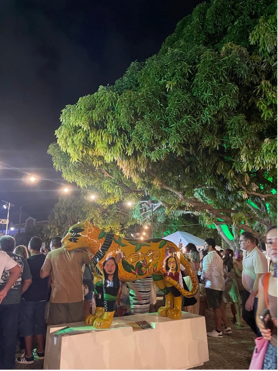 Between the Pavilions and People: A Reflection on COP30