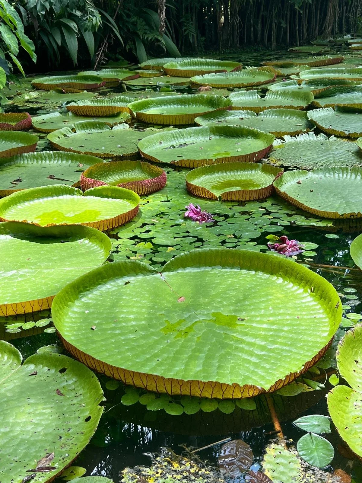 WhatsApp Image 2025-12-17 at 2.52.02 PM (3).jpeg