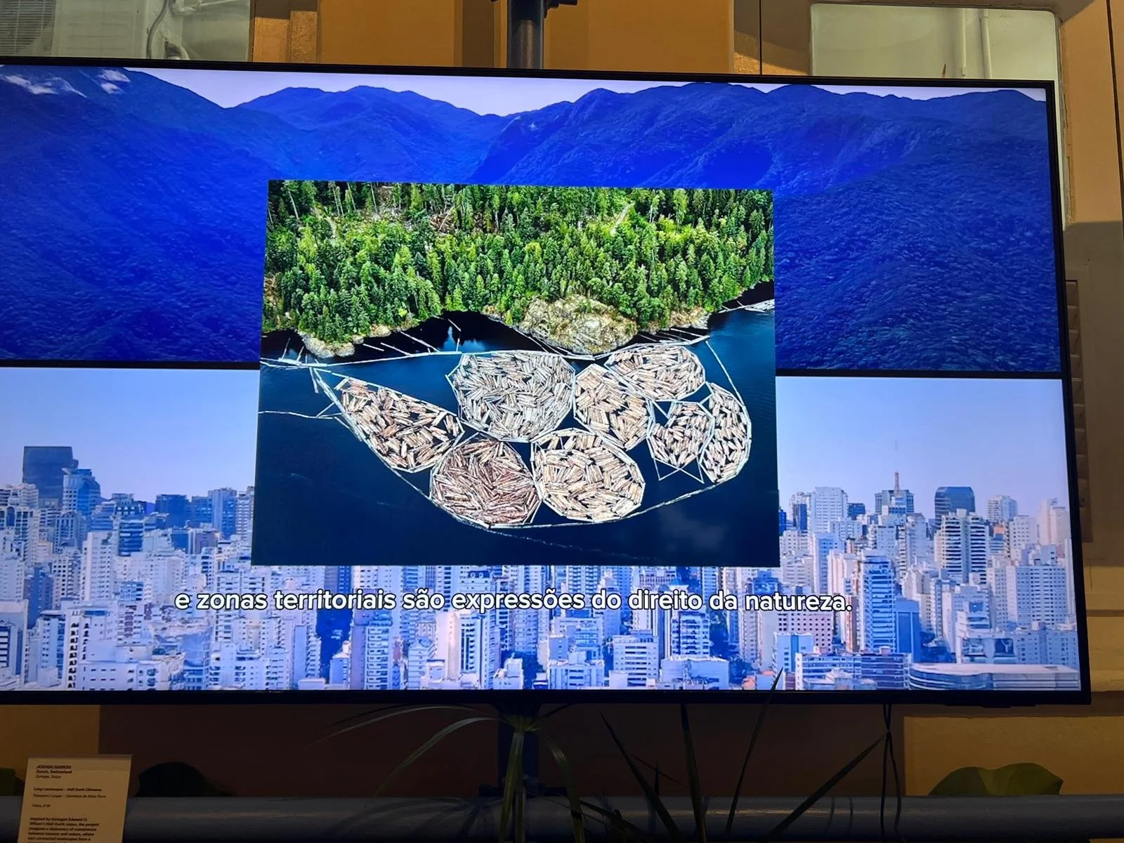 WhatsApp Image 2025-12-17 at 2.52.02 PM (2).jpeg