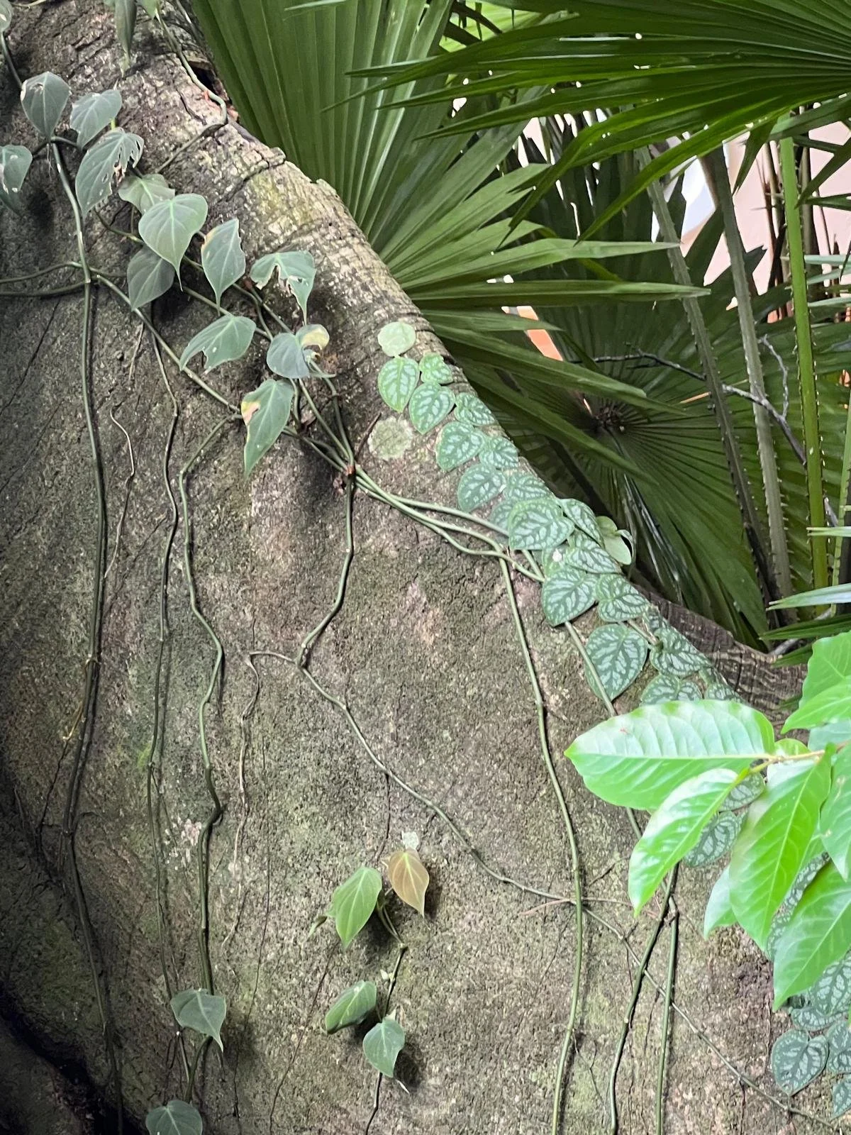 WhatsApp Image 2025-12-17 at 2.52.02 PM.jpeg