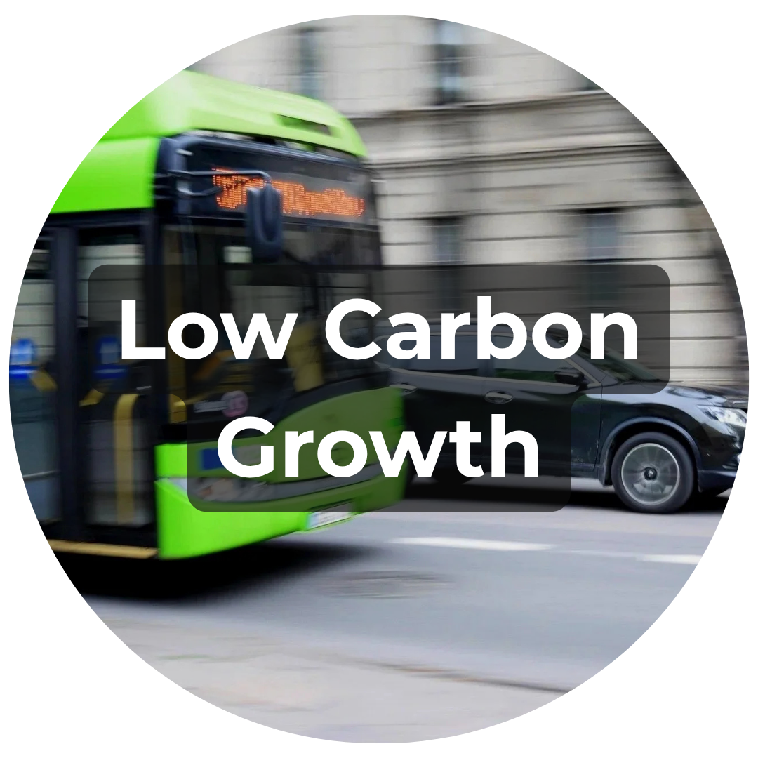 Low Carbon Growth