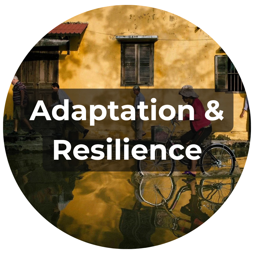 Adaptation & Resilience