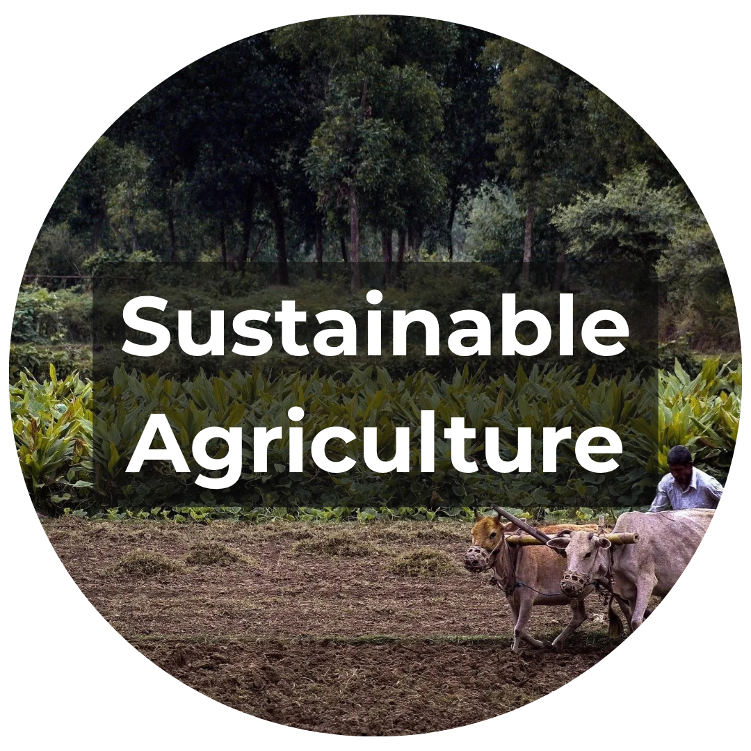 Sustainable Agriculture