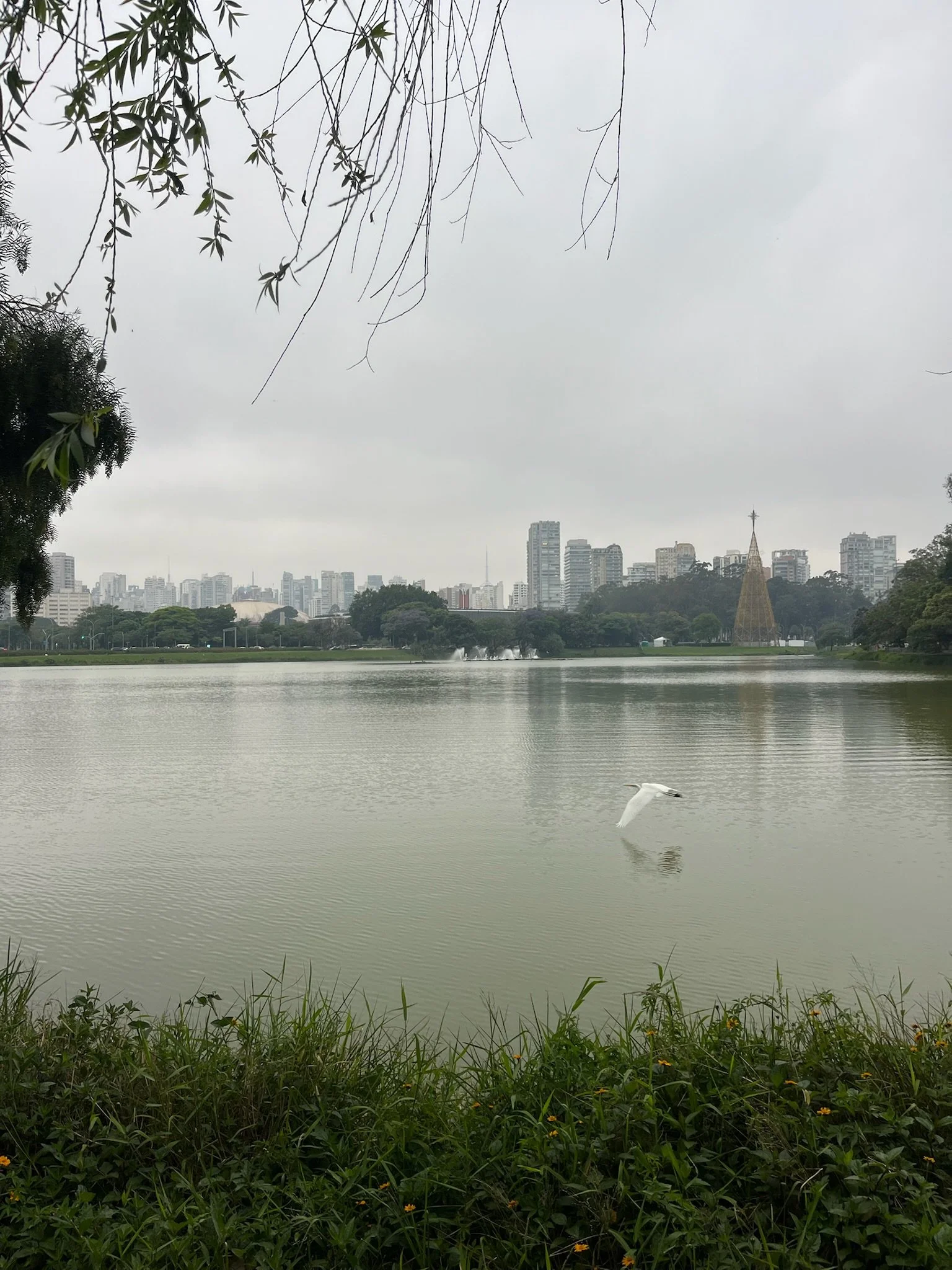 Protecting All That is Green: Integrating Nature into Carbon Markets to Drive Conservation