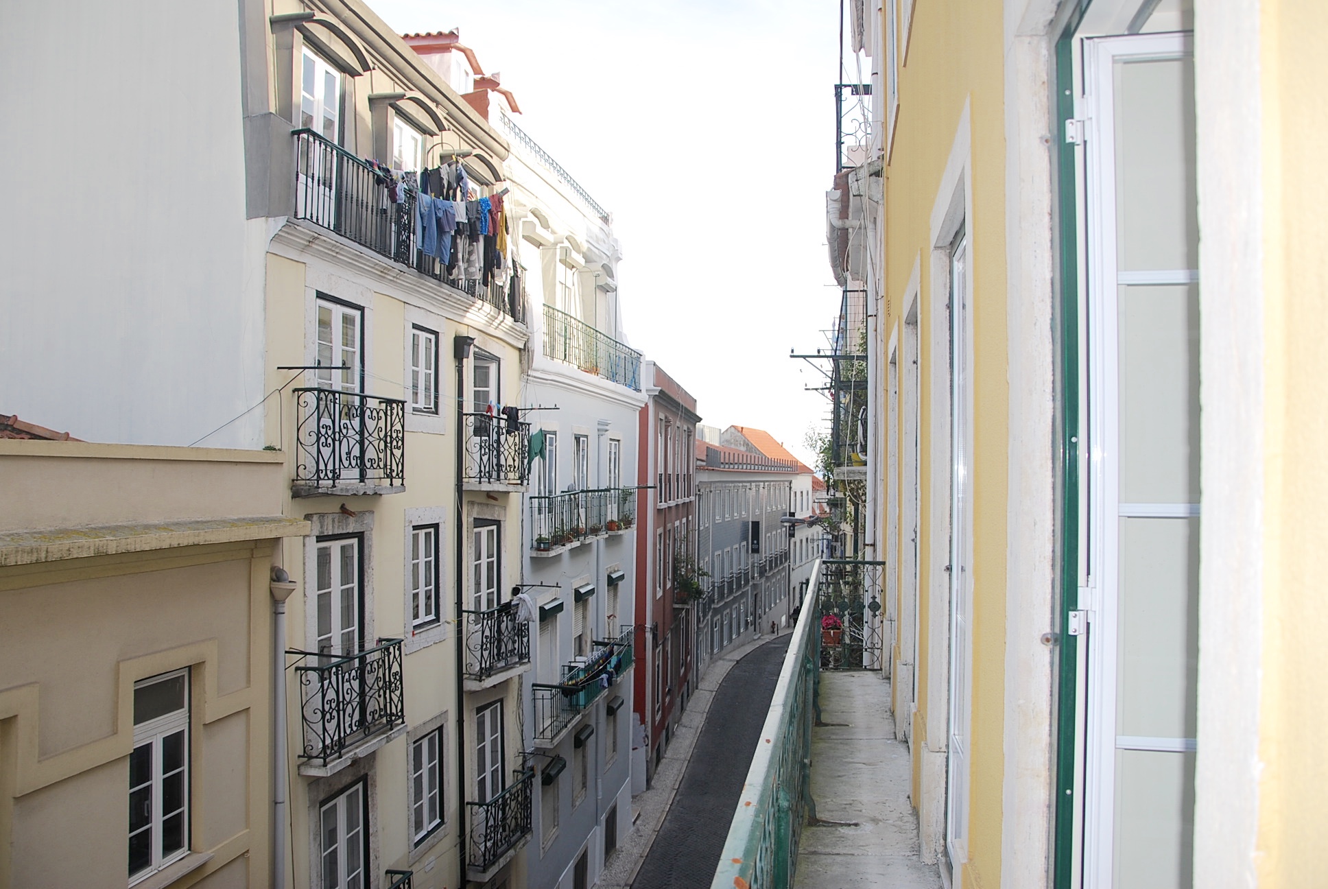 DSC_0939.jpg