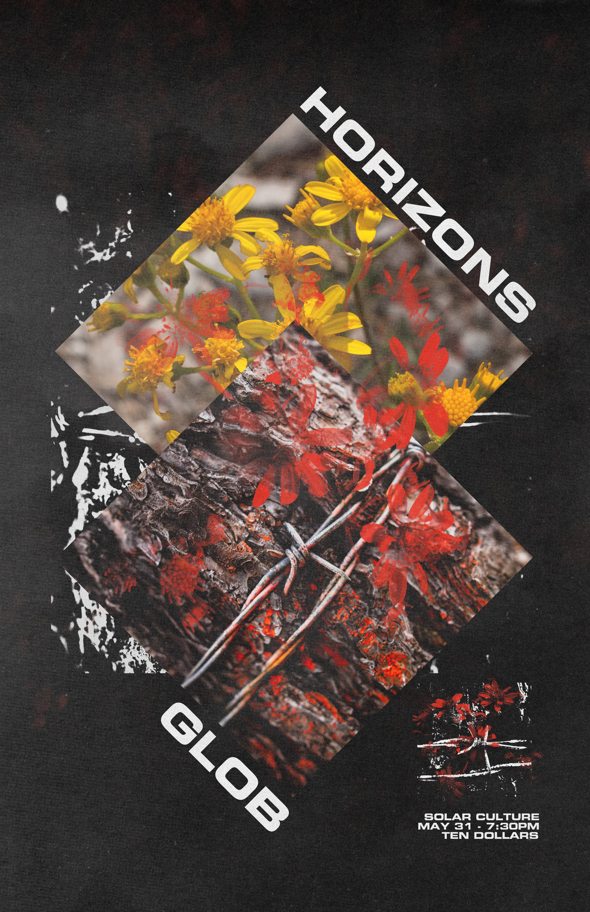 Horizons &amp; GLOB Poster