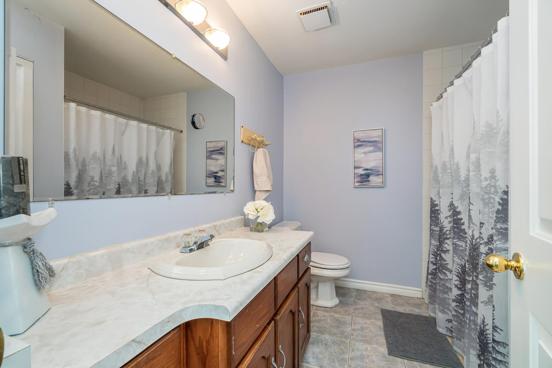 6 Adamson Street S Norval ON-040-040-Bathroom-MLS_Size.jpg